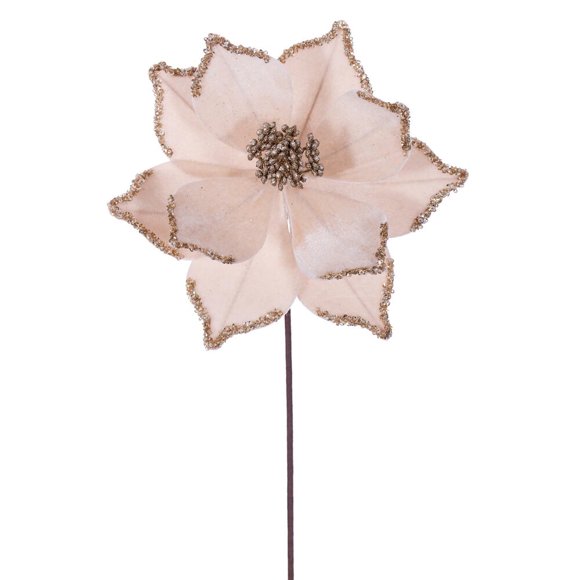 21.5" Champagne Poinsettia 10" Flw 6/Bag