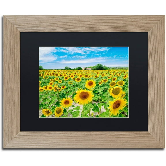 Trademark Fine Art "Field of Yellow" Canvas Art by Michael Blanchette Photography Black Matte, Birch Frame