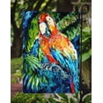 thumbnail image 3 of Carolines Treasures MW1204GF Yo Yo Mama Parrot Flag Garden Size, 3 of 3