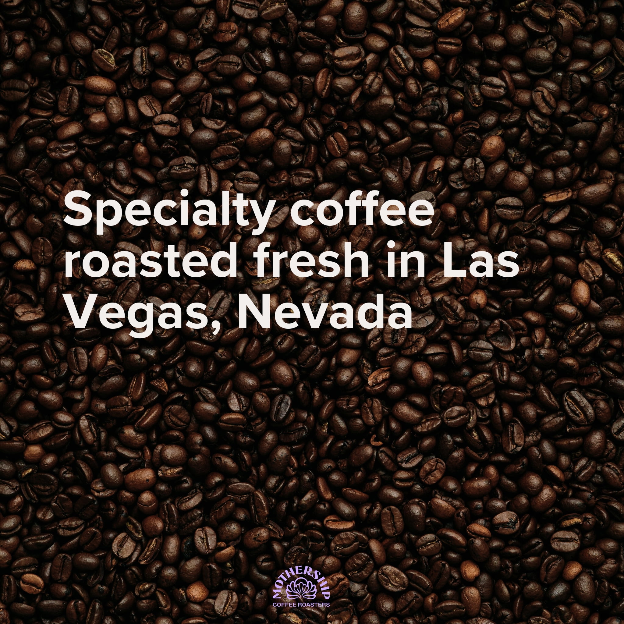 Local Mothership Coffee Supernova Blend, Medium Roast Coffee, Whole Bean 12oz