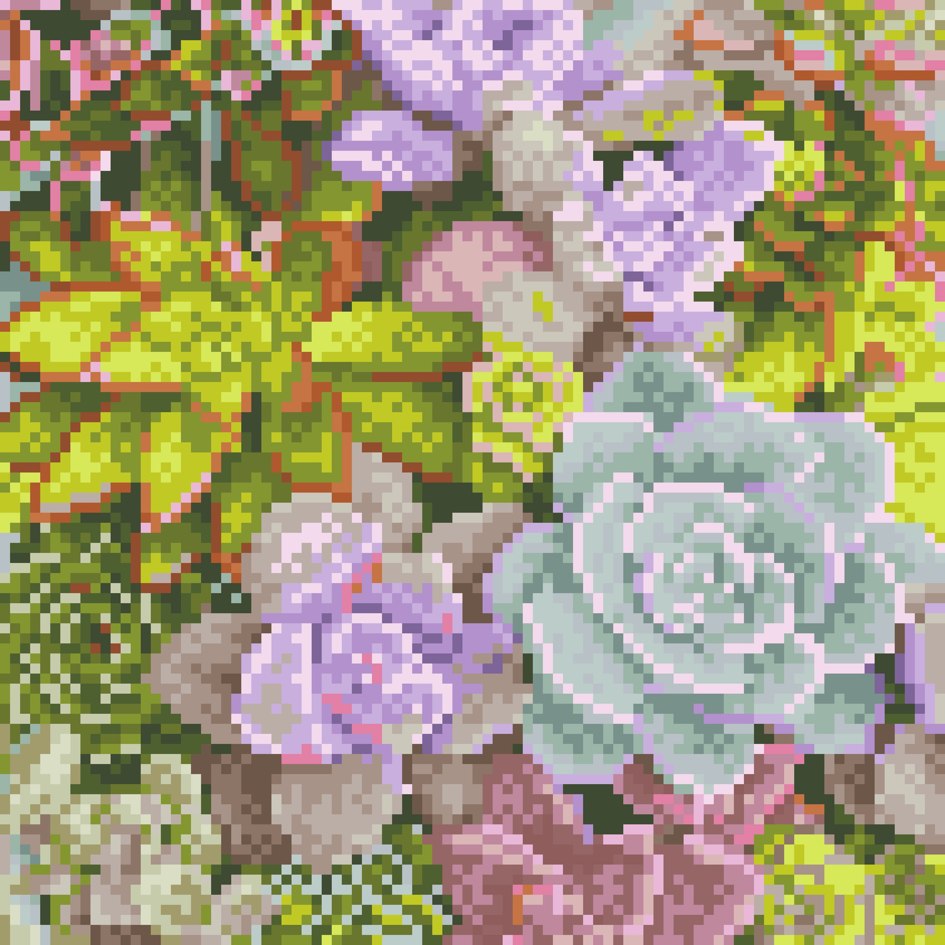 DIAMOND DOTZ® Succulents in Bloom Special Edition Diamond