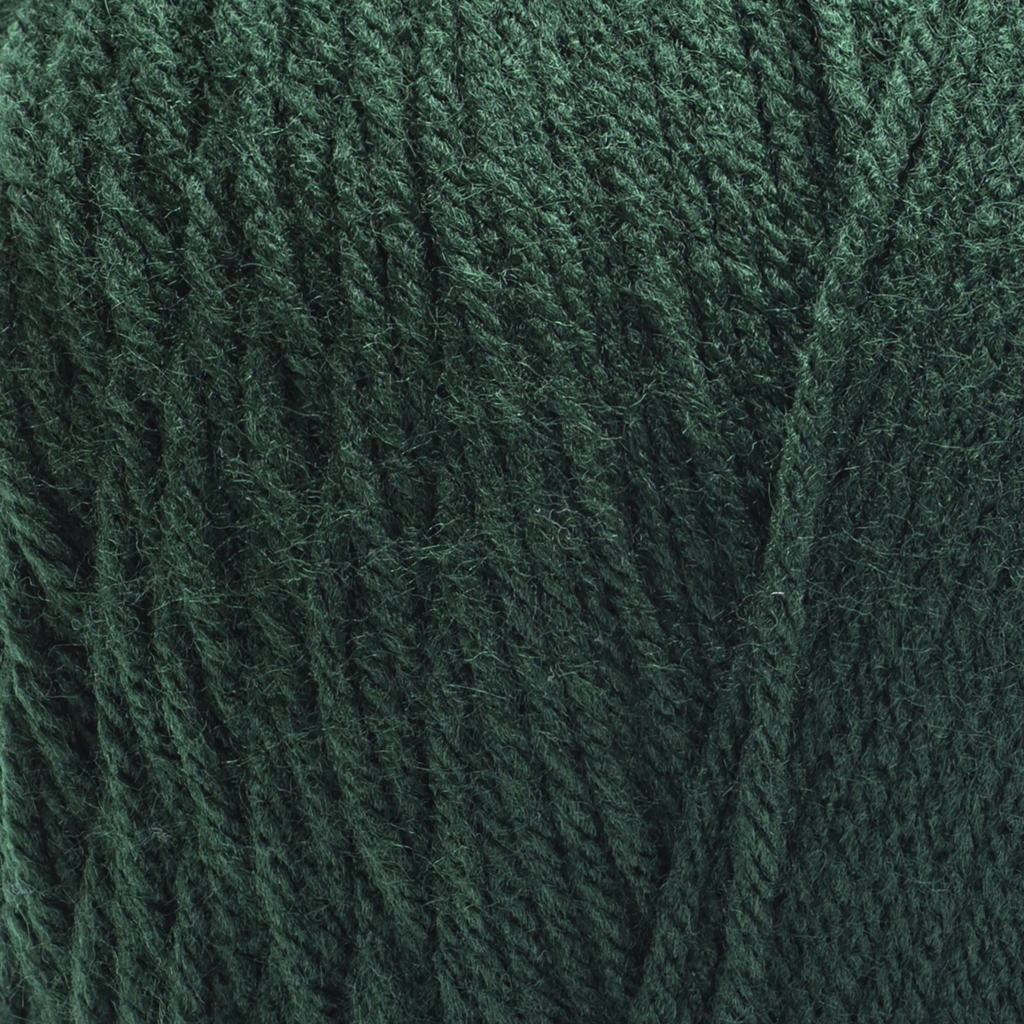 Red Heart® Super Saver Jumbo™ #4 Worsted Acrylic Yarn, Huntergreen 14oz/396g 744 Yards (2 Pack)