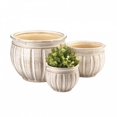 thumbnail image 1 of Summerfield Terrace 10018823 Antique Stone Planter Trio, 1 of 1