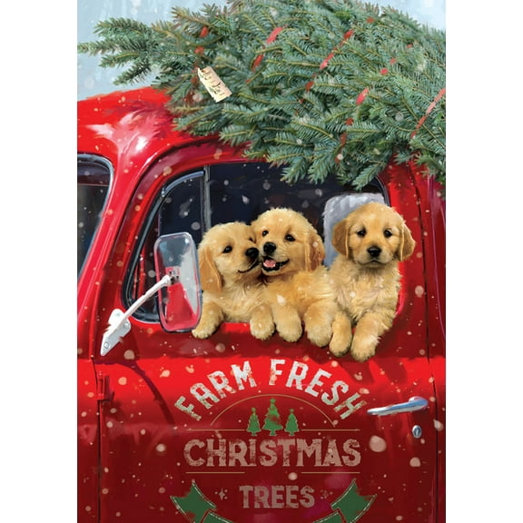 Festive Pups Small Boxed Holiday Cards (20 Cards, 21 Self-Sealing Envelopes), (Hardcover)