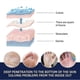 thumbnail image 5 of Anti-crack Hand Care Cream Dry Cracked Hands Moisturizing Not-greasy Care Hand Lotion Winter Repair Nourishing Hand Cream, 5 of 5