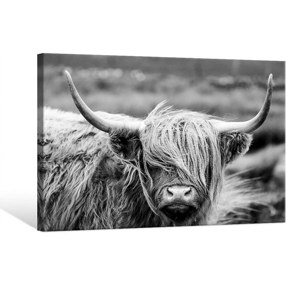 Aaheei Scottish Highland Cow Canvas Wall Art Black and White Wall Decor Cattle Picture Print Photography Wildlife Animal Portrait Farmhouse Artwork for Living Room Bedroom Office Decor