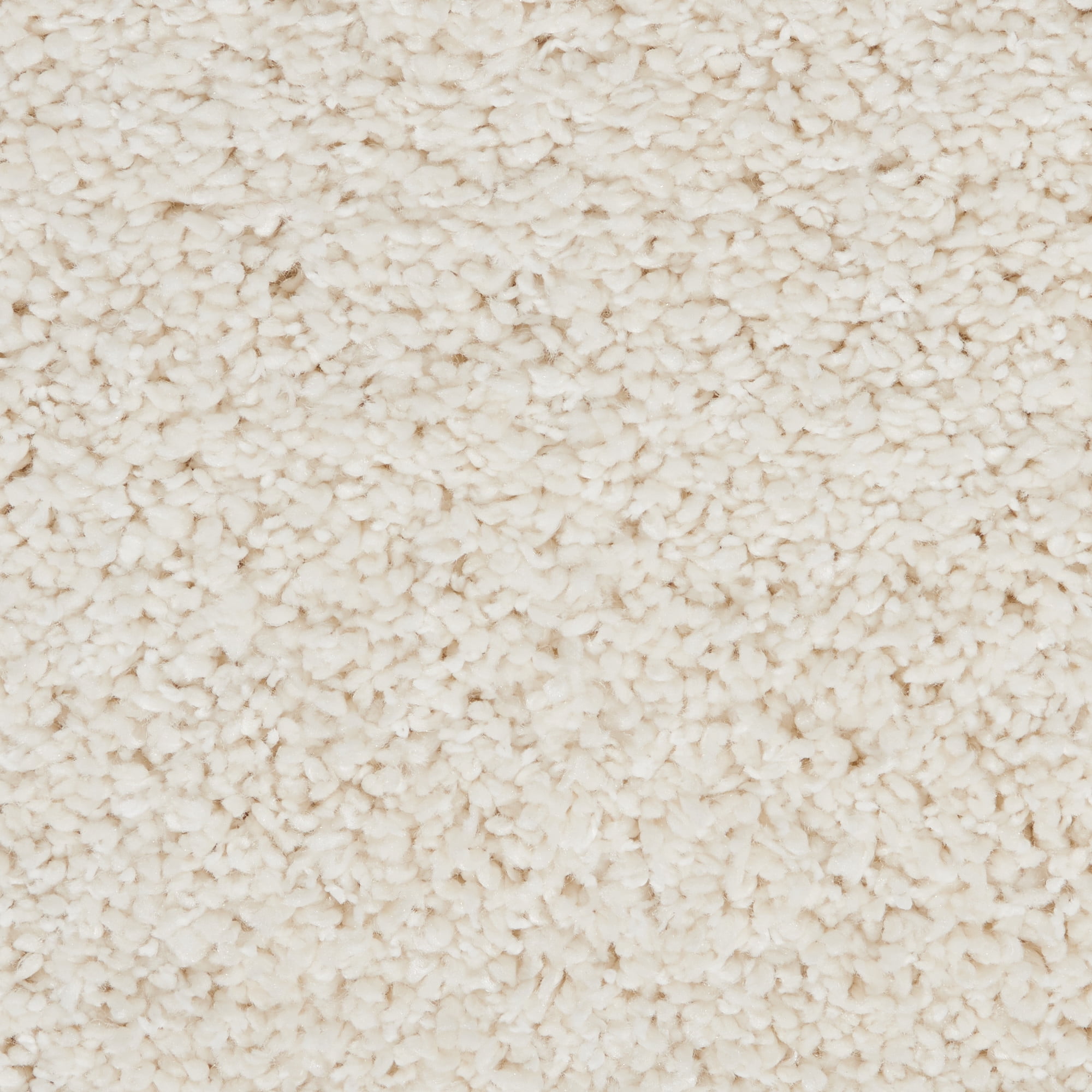 Nourison Ashland Solid Shag White 5'3" x 7'3" Area Rug, (5' x 7')