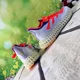 thumbnail image 5 of ??Adi - das 4D FWD Men's Running Sneaker HP7664 US 7~11.5 Was$200, 5 of 6