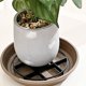 thumbnail image 4 of unbranded 10Ud Soportes Plásticos Para Macetas Elevadores Negros Para Jardín Interior Y Exterior, 4 of 8