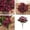 Hot Pink, variant on TIELUTT Decoration Bouquet Heads Flower Silk 21 Flower Home Sun Flowers Wooden Flowers Flowers Winter Flower Flowers for Christmas Mini Flowers