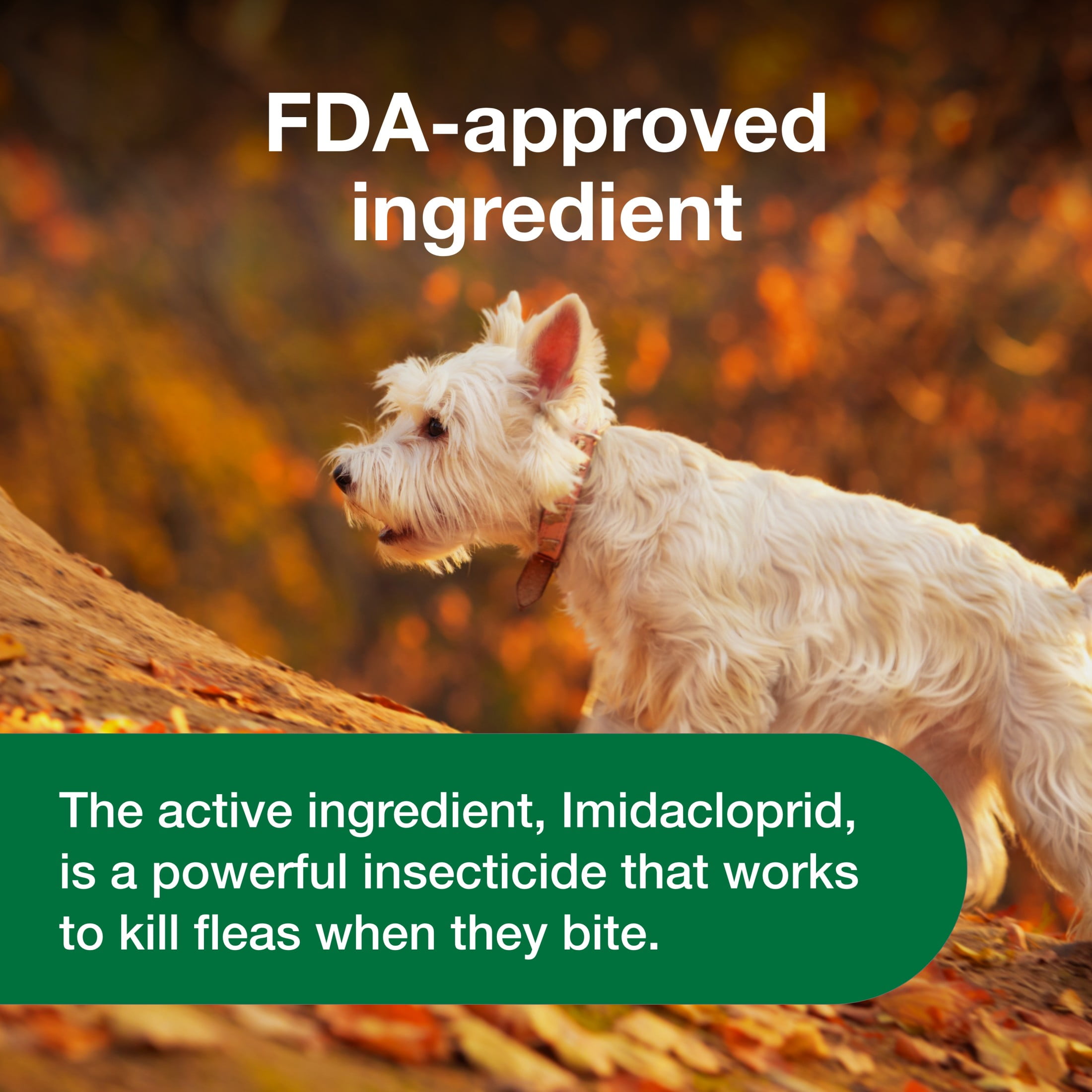 Advantus Chewable Flea Treatment for Dogs 4 22 lbs. 7 Soft Chews Walmart