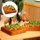 thumbnail image 4 of Juego de Juguetes Montessori para Bebé, Niño Y Niña, Juguete con Zanahoria para Tirar, Juguetes de Cumpleaños para Pequeños, Re Hugo Juguetes Montessori para niños, 4 of 7