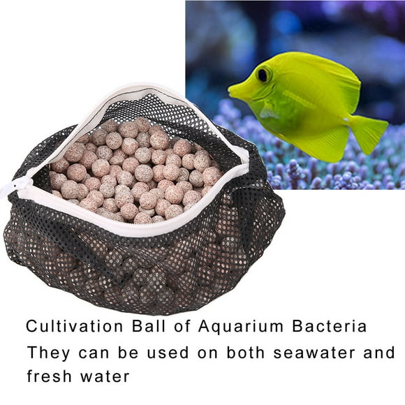 , Purification Durable de l'Eau, Filtre à Eau à Bille pour l'Eau Douce