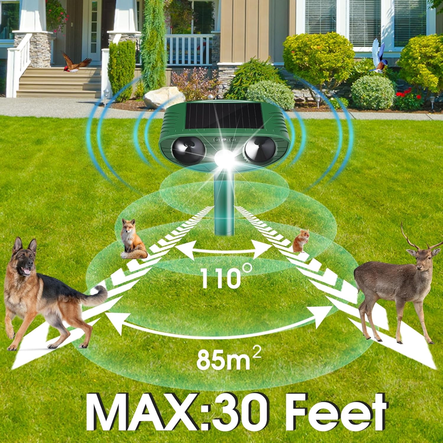 2 Pack Stray Cat Deterrent Outdoor Solar Powered, Motion Activated Ultrasonic Animal Repeller for Gardens Yards, Repels Deer Squirrels Skunks Rabbits, Humane Critter Ridder & Bear Deterrent Devices