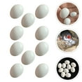 thumbnail image 3 of 10 Pcs Simulation Réaliste d'Œuf d'Oiseau Outil d'Élevage d'Oiseaux, 3 of 9