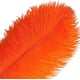 thumbnail image 3 of Nvzi Plumas de avestruz naranjas, 12 unidades, grandes, naturales, a granel, de 30 a 35 cm, para centros de mesa de bodas, fiestas, Pascua, Gatsby y decoración del hogar., 3 of 5