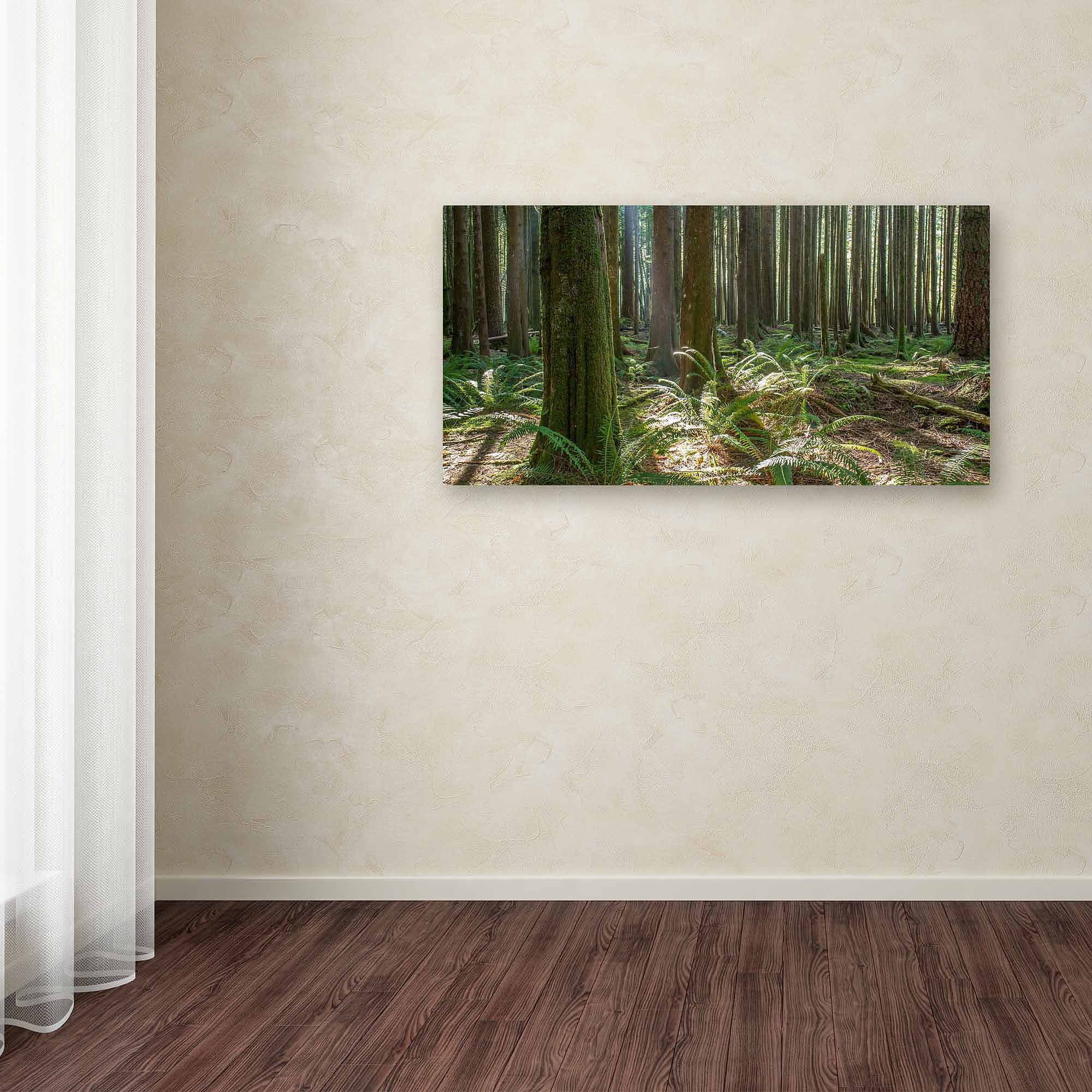Trademark Fine Art "Forest" Canvas Art by Pierre Leclerc