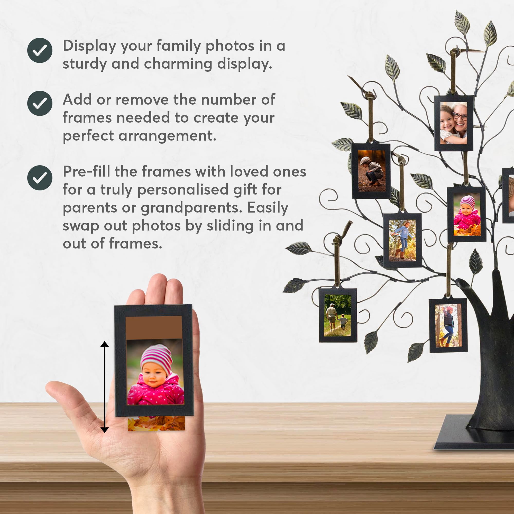 Maypes Family Tree Photo Frame Display, Brushed Bronze, 6 Hanging Picture Frames with Detachable Base