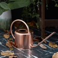 thumbnail image 3 of Hervidor de agua YONGSHENG con pico largo acero inoxidable capacidad 1,2 l, 3 of 5