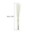 thumbnail image 2 of Uxcell 12Pcs Hierba de Pampas Falsa de 21" para Decoración de Bodas Crema, 2 of 7