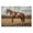 Chestnut Saddle Horse Portrait, variant on Stupell Industries Transitional Saddled & Ready For The Show Black Floating Frame Canvas Art, 25 x 17, by Petals Prints Design