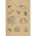 thumbnail image 2 of Masayoshi Kitao 14x18 Gold Ornate Wood Frame and Double Matted Museum Art Print Titled - Choju Ryakugashiki, Pl.37 (1868-1912), 2 of 4