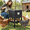 30-40LBS, variant on 30-40LBS Large Chicken Feeder No Waste Automatic Poultry Feeder
