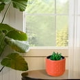 thumbnail image 6 of Hiroekza Succulent Planter Pots Plastic Imitation Glazed Vase for Flower Arrangement, Home & Office Decoration, 3.82x3.35x2.99inch Orange, 6 of 6