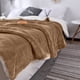 thumbnail image 5 of RKSTN throw blanket Thickened Winter Solid Color Composite Lambswool Blanket Facecloth Blanket Cover Blanket Gift, 5 of 7
