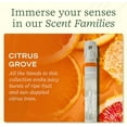 thumbnail image 2 of Lifelines Pen Diffuser, Citrus Grove - 1mm Black Ballpoint Pen with Scented Essential Oil Blends – Aromatherapy Diffuser & Sensory Immersion Diffuse Aroma As You Write, 2 of 5