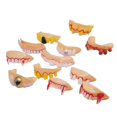 thumbnail image 1 of Halloween Fake Teeth Horror Cosplay for Masquerade Fancy Dress Party Favors 12pcs Skin Color, 1 of 9