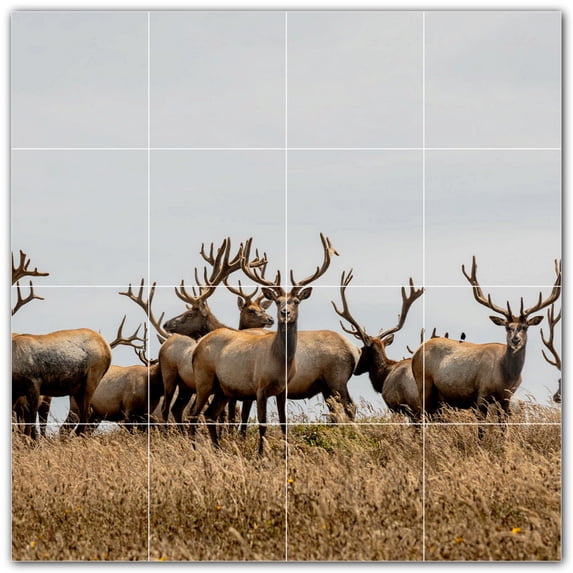 Picture-Tiles.com: Deer Ceramic Tile Wall Mural WAL500437-44S. 17"W x 17"H using (16) 4.25" x 4.25" Ceramic Tiles-Satin Finish