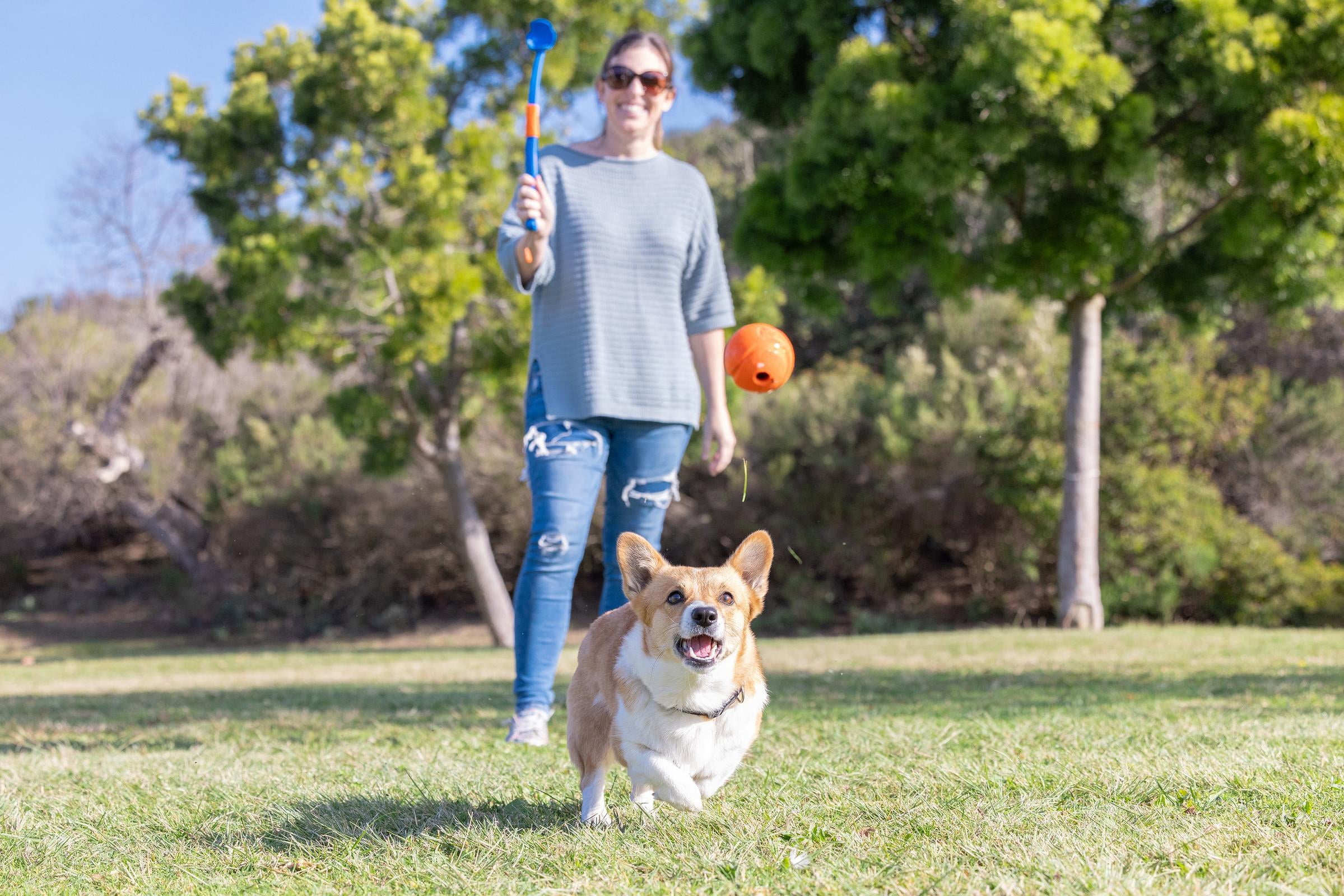 Chuckit! Fetch & Fold Mini 18M Dog Ball Launcher, 18" Long Handle, Compatible with Medium 2.5" Balls, Pack of 1