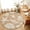 Brown, variant on Entryway Rug 2'x3', Light Blue Starfish Coastal Kitchen Runner Rugs Non-Slip Carpet Mats, Shell Summer Beach Nautical Bedside Rugs Runners Washable Floor Carpet for Bathroom Laundry Room