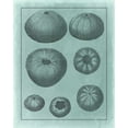 thumbnail image 2 of Vision Studio 15x18 Black Ornate Wood Framed with Double Matting Museum Art Print Titled - Spa Shell Collection V, 2 of 4