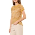 thumbnail image 5 of Allegra K Women's Casual Sheer Short Sleeves Floral Lace Top, 5 of 7