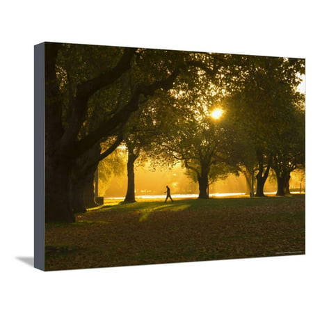 Man Walking Under Trees, Hagley Park, Christchurch, Canterbury, South Island, New Zealand, Pacific Stretched Canvas Print Wall Art By Jochen (Best Walks South Island New Zealand)