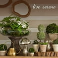 thumbnail image 2 of Serene Spaces Living 5.5" Tall Glass Urn Vase, Flowers, Solid Print, Set of 4, 2 of 3