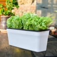 thumbnail image 1 of Kuntesetty Rectangle Self Watering Planter Nursery Planting Pot Practical Shatter Resistant Black inner basin, 1 of 9