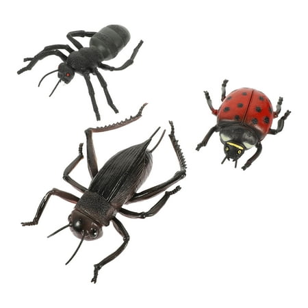 

3 Pcs Simulation Animal Model Ornament Creative Ladybird Ant Roach Shape Cognitive Toy