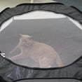 thumbnail image 6 of Cat Toys, Cat Tunnel Tube for Indoor Cats, Tunnels Extensible Collapsible Cat Play Tent Interactive Toy Maze Cat House, Pet Tube Toys for Kitty, Rabbit Small Animal, 6 of 8