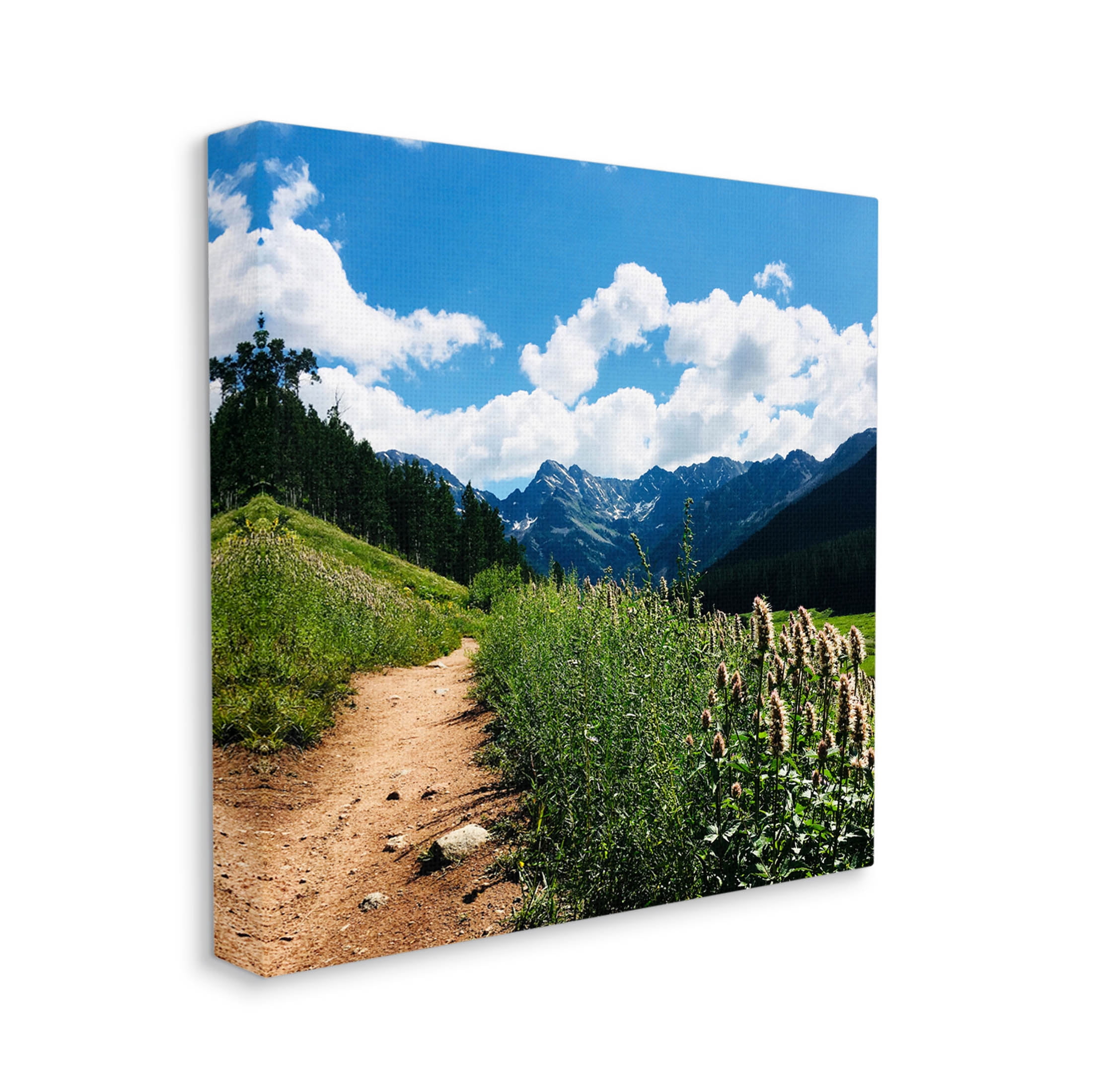 Stupell Industries Mountain Field Nature Path Photograph Gallery Wrapped Canvas Print Wall Art, Design by Anna Coppel