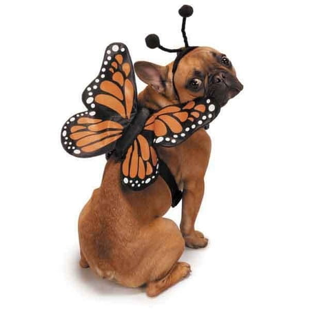 Butterfly Wing Dog Costume 3D Glow In The Dark Functional Harness Monarch Insect (xLarge)