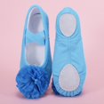 thumbnail image 4 of jianru Ballet Shoes for Girls Elastic Straps Non Slip Soft Sole Floral Canvas Professional Dance Shoes for Toddler Kids, 4 of 9