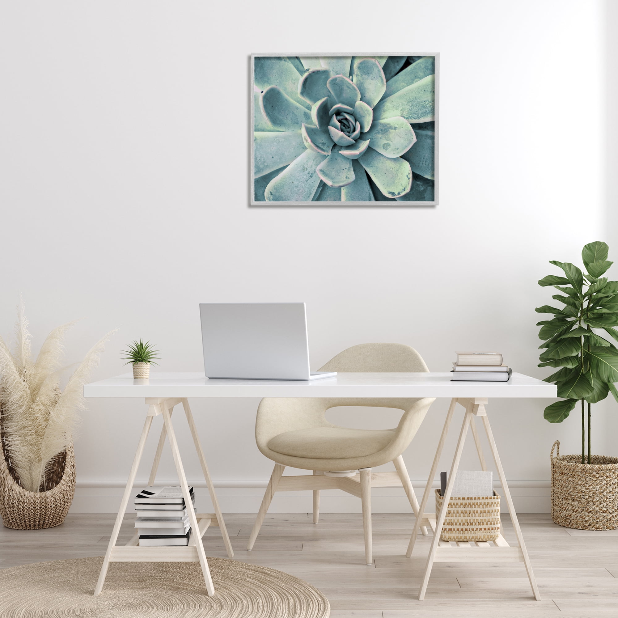 Stupell Industries Green Cactus Succulent Botanical & Floral Photography Gray Framed Art Print Wall Art, 30 x 24
