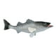 thumbnail image 4 of Modelo de juguete de Animal marino, juguetes cognitivos para niños, juguete educativo, figuras de trucha, figuras de perca para fiestas, niños y niñas Bajo, 4 of 8
