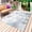 White Light Blue, variant on Turtle Coastal Outdoor Rug for Patio/Deck/Porch, Non-Slip Large Area Rug 4 x 6 Ft, Nautical Summer Beach Coral Jellyfish Rustic Indoor Outdoor Rugs Washable Area Rugs, Camping Rug Carpet Runner