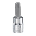 thumbnail image 1 of DEWALT 3/8" Drive T50 TORX Socket, 1 of 1