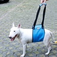 thumbnail image 3 of Safety Care Assistive Belt For Elderly Disabled And Injured Dogs For Hind Legs Buttocks Support Harness Walking Bracket, 3 of 8
