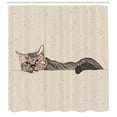 thumbnail image 3 of Ambesonne Animal Shower Curtain, Lazt Sleepy Cat, 69"Wx70"L, Grey Beige, 3 of 3